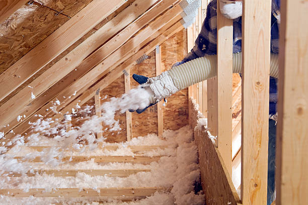 Best Basement Insulation in USA